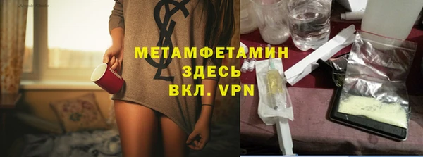 гидра Гусь-Хрустальный