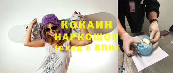 гидра Гусь-Хрустальный