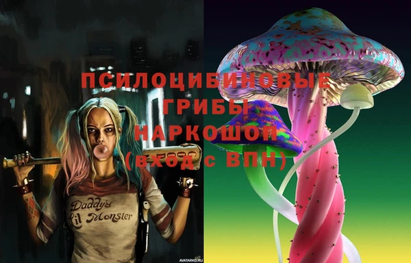 скорость Гусев