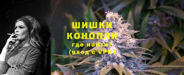 гидра Гусь-Хрустальный