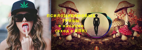 скорость Гусев