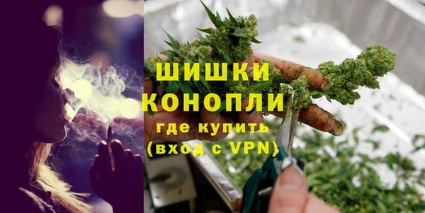 гидра Гусь-Хрустальный