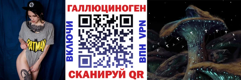Купить  Малгобек  Псилоцибиновые грибы Magic Shrooms 